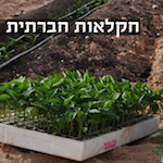 חלקאות חברתית מסוג אחר